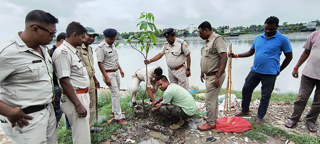 Tree Plantation